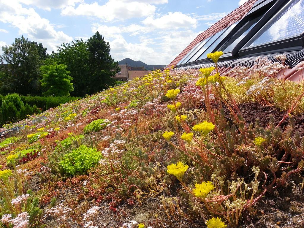 Loos-en-Gohelle Fleur De Ciel 빌라 외부 사진