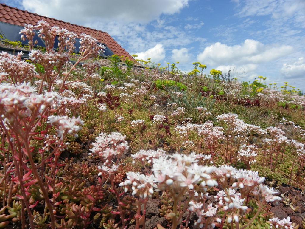 Loos-en-Gohelle Fleur De Ciel 빌라 외부 사진