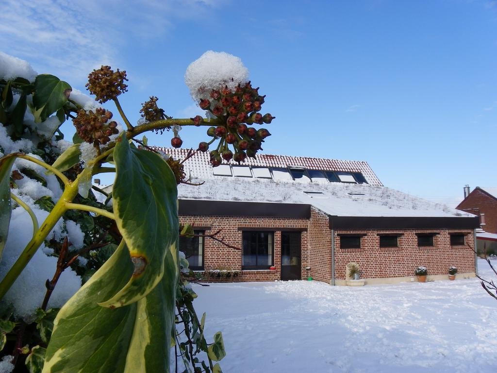 Loos-en-Gohelle Fleur De Ciel 빌라 외부 사진