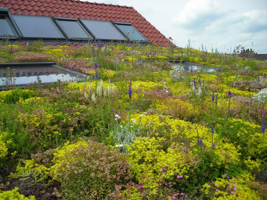 Loos-en-Gohelle Fleur De Ciel 빌라 외부 사진